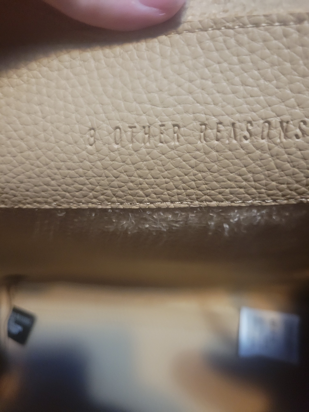 NWOT 8 Other Reasons Pebbled Leather Shoulder Bag in Beige